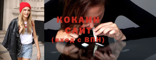 спиды Каменногорск