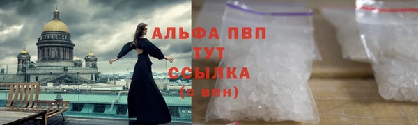 спиды Каменногорск
