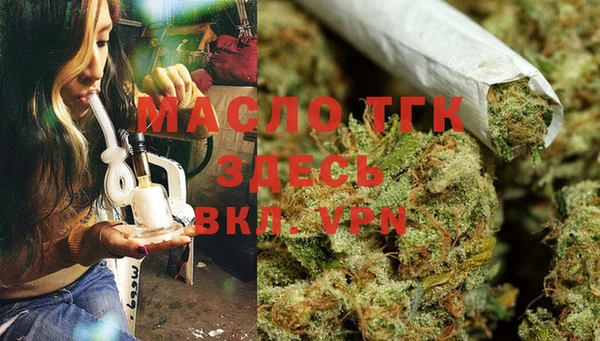 спиды Каменногорск