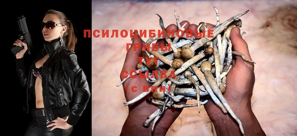 альфа пвп Каменск-Шахтинский