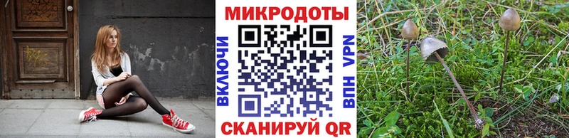 Галлюциногенные грибы Cubensis  Купить  Орск 